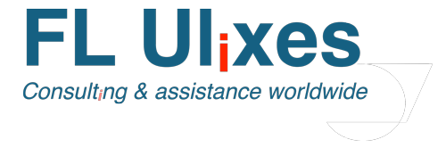 flulixes_logo_500